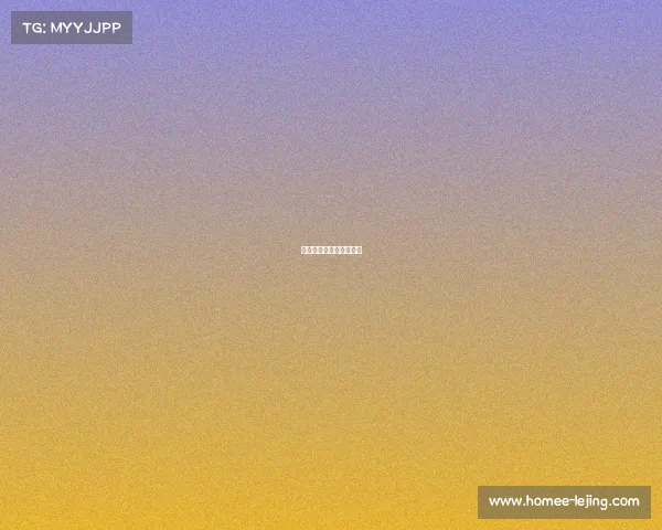 马刺队赛场上的完美协作